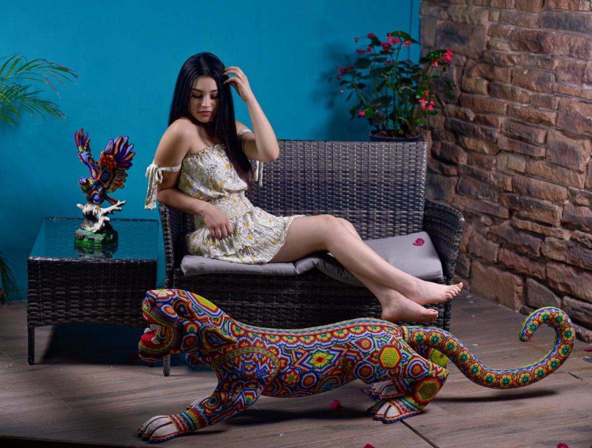 Hotel Boutique Casa Mariano Tepic Eksteriør billede